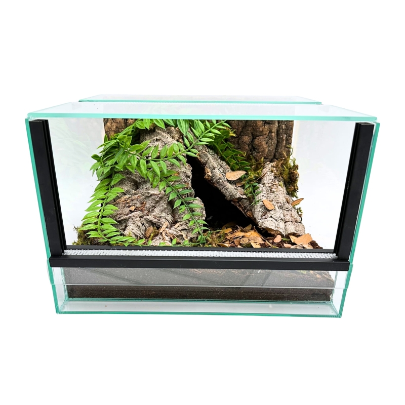 terrarium-z-wyposazeniem-dla-ptasznika
