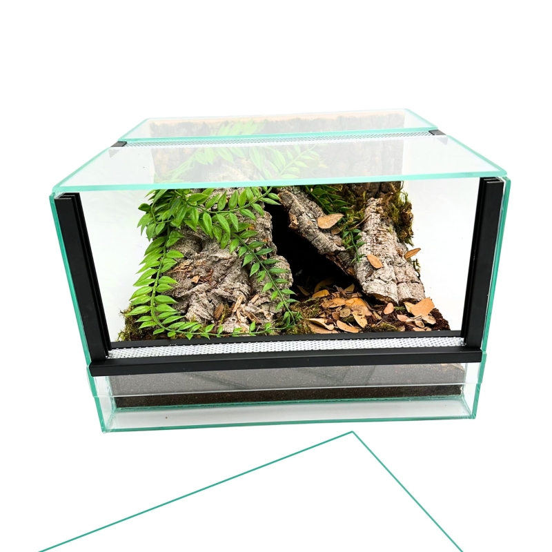 terrarium-dla-ptasznika-podziemnego