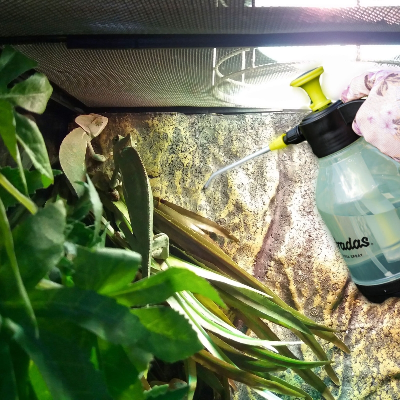 opryskiwacz-cisnieniowy-zraszacz