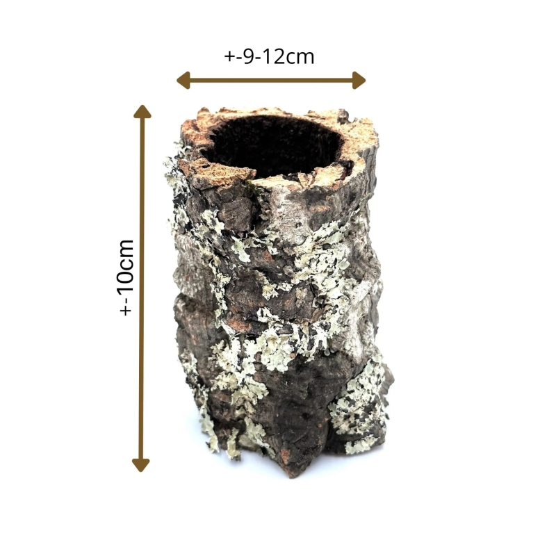 naturalna-tuba-korkowa-dla-gekona