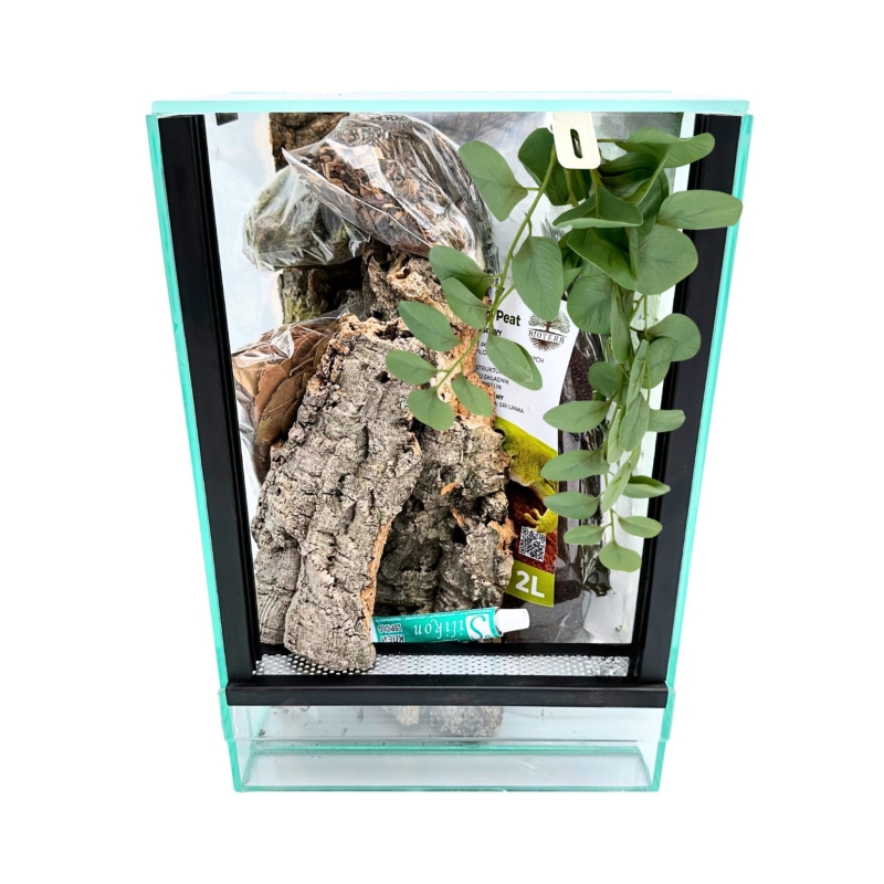 terrarium-z-wyposazeniem-dla-ptasznika