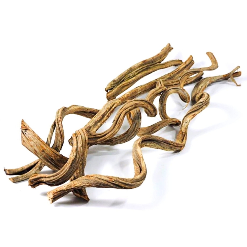 liana tropikalna z lasów deszczowych 3.jpeg