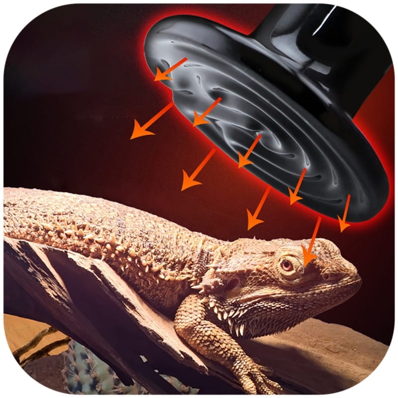 oswietlenie-grzewcze-do-terrarium