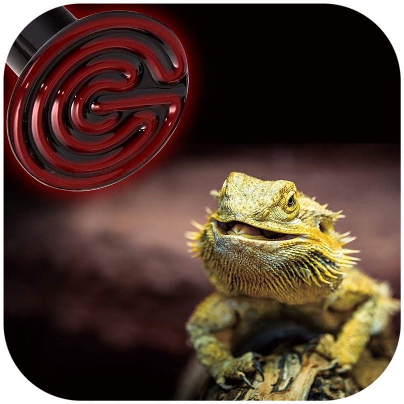 podczerwien-do-terrarium