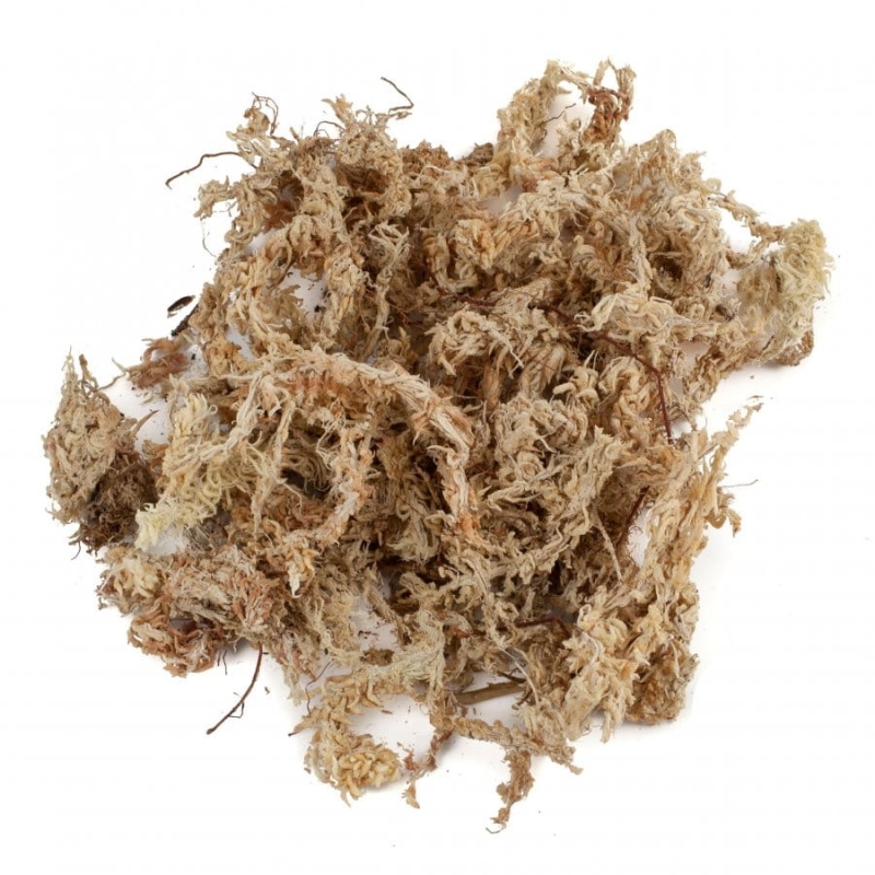 5kg-chile-moss-sphagnum-moss