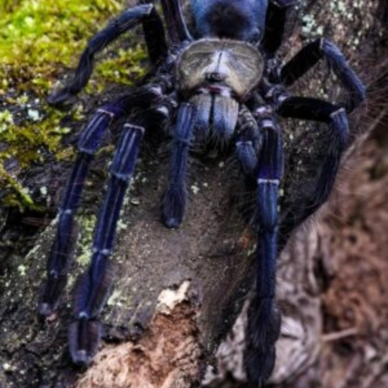 76e9622d38915fb5168a28f119c16004