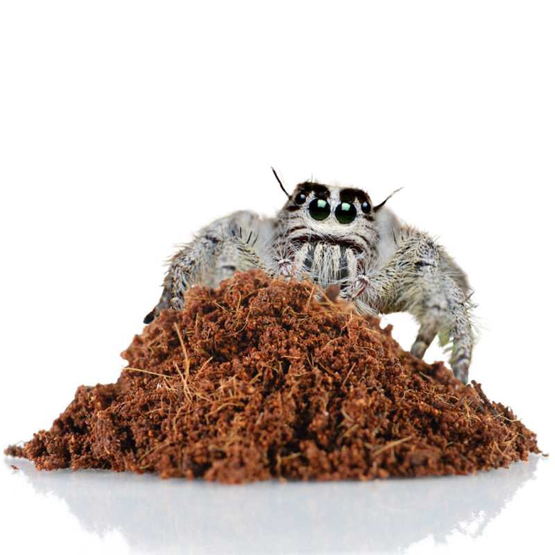 brykiet-kokosowy-5kg-duzy-najlepszy-kokos-do-terrarium