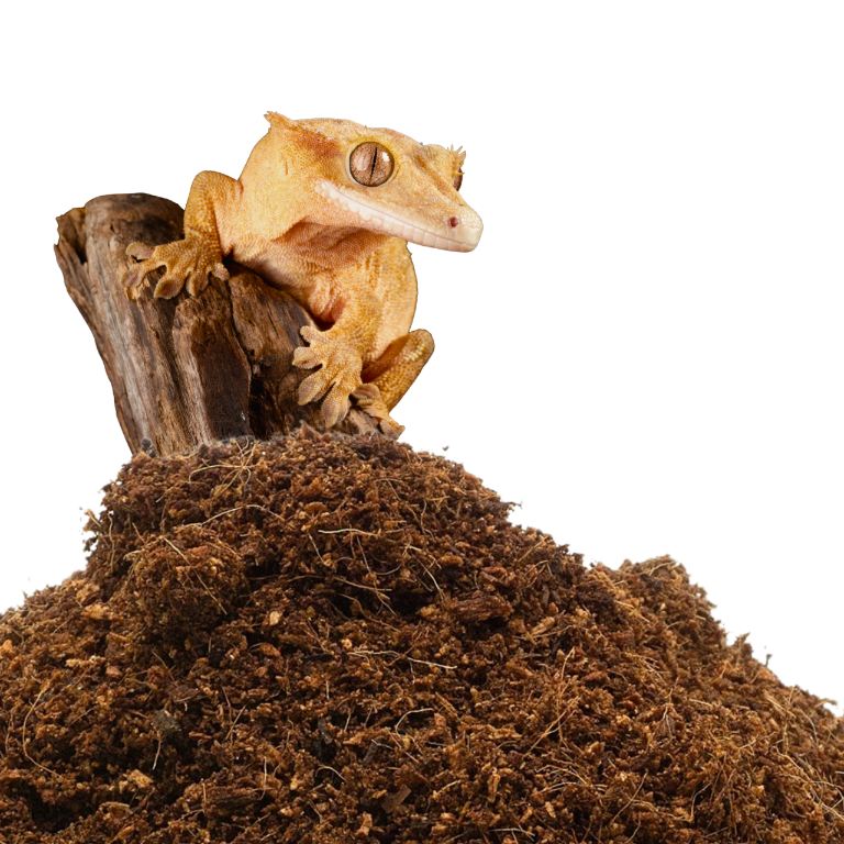 brykiet-kokosowy-5kg-duzy-najlepszy-kokos-do-terrarium