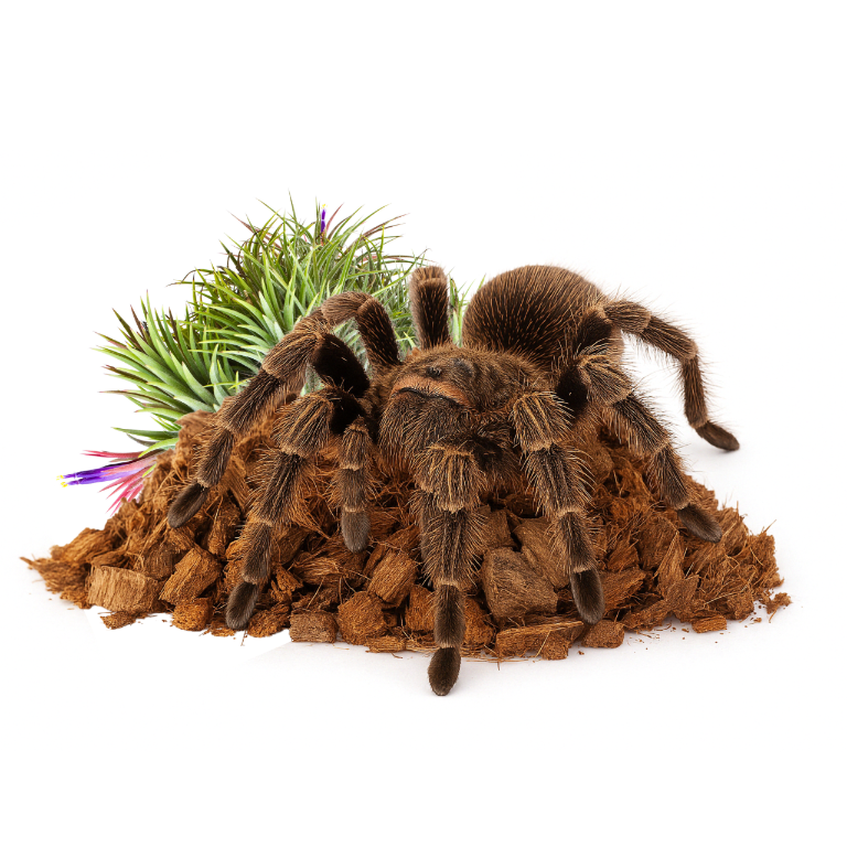 duzy-worek-chips-kokosowy-dodatek-do-roslin-200L