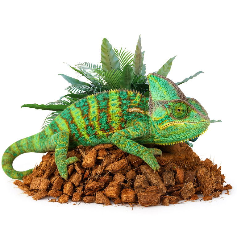 chips-kokosowy-do-kwiatkow-do-terrarium