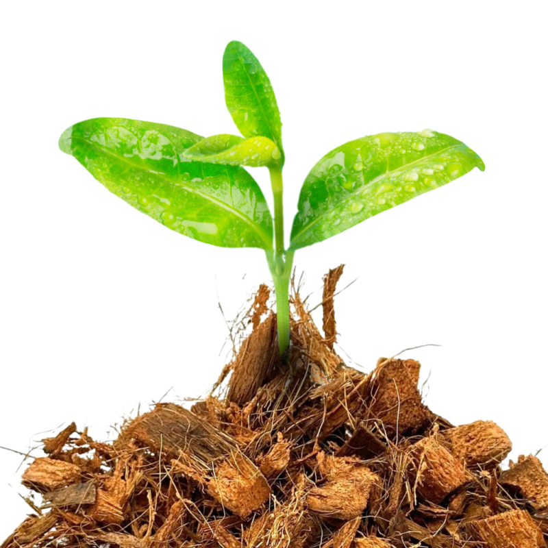 chips-kokosowy-do-kwiatkow-do-terrarium