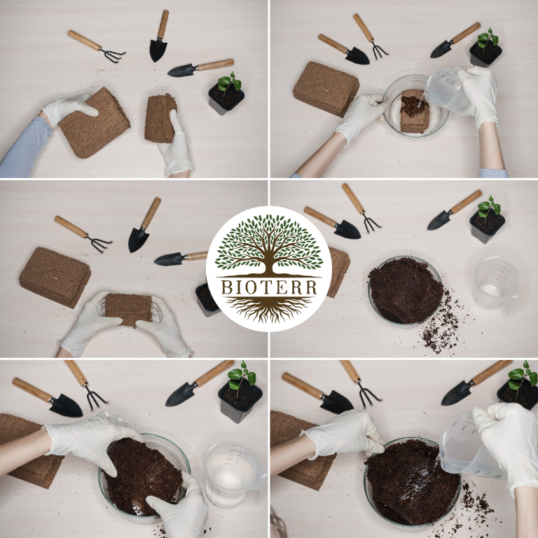 chips-kokosowy-brykiet