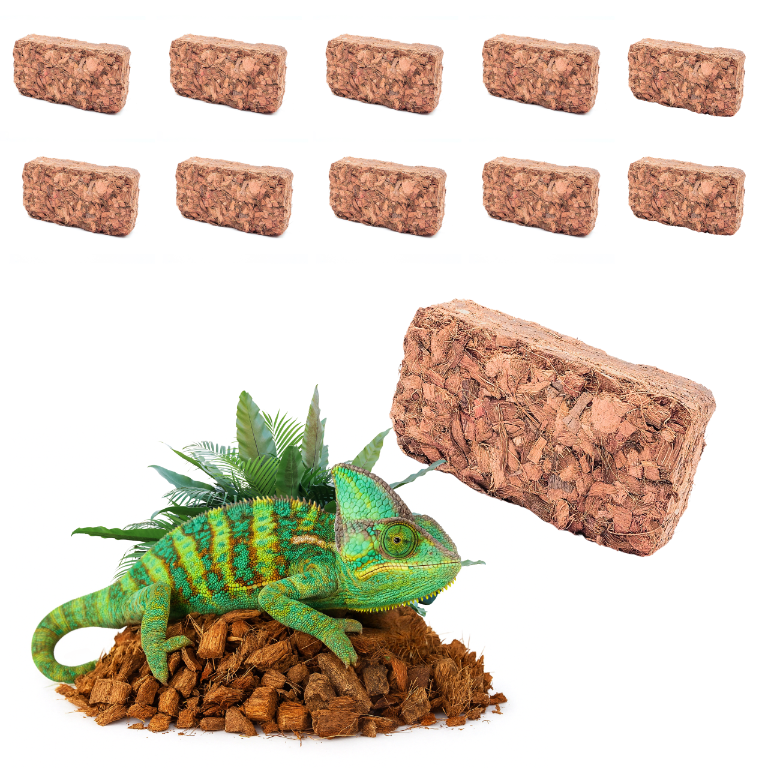 chips-kokosowy-dla-gadow