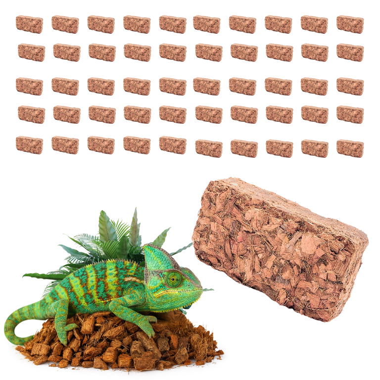 dfdfd70db91f418be65e8312414f70ff