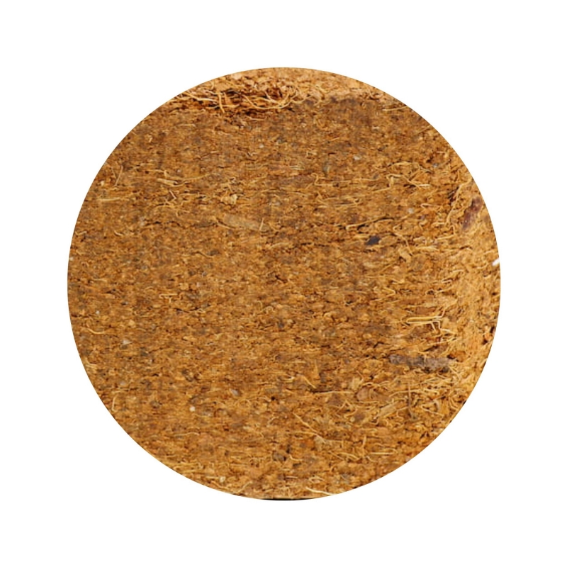 41111eff9173b29cfd215ccf546a8694