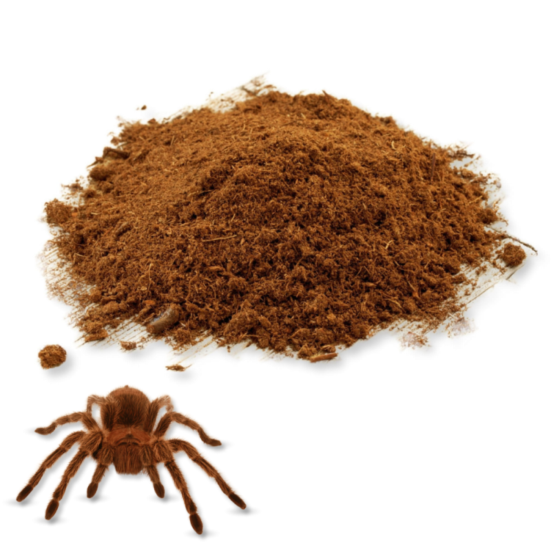 8c7b7767ca581fe36f65cb2490fa9562