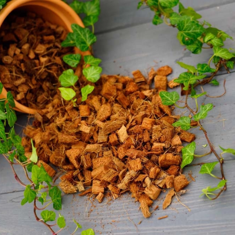 BioCoco-Husk-Chips-kokosowy