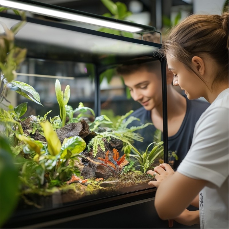 Terrario ReptoRay – lampa-led-do-terrarium