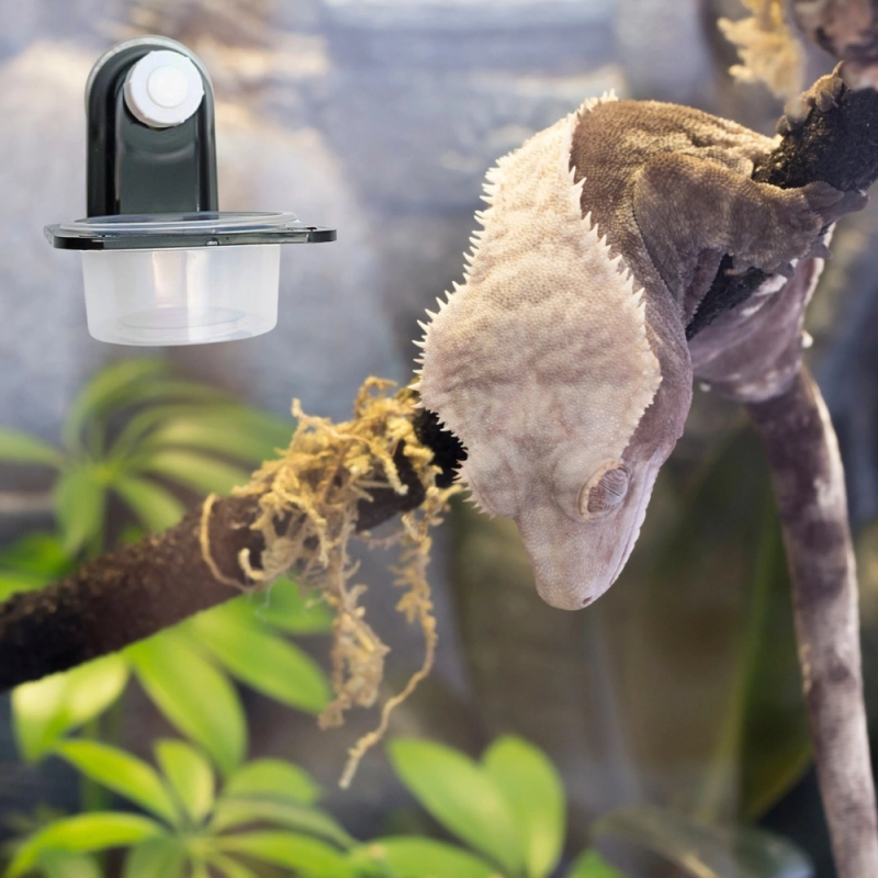 montaz-miseczki-na-szybie-terrarium