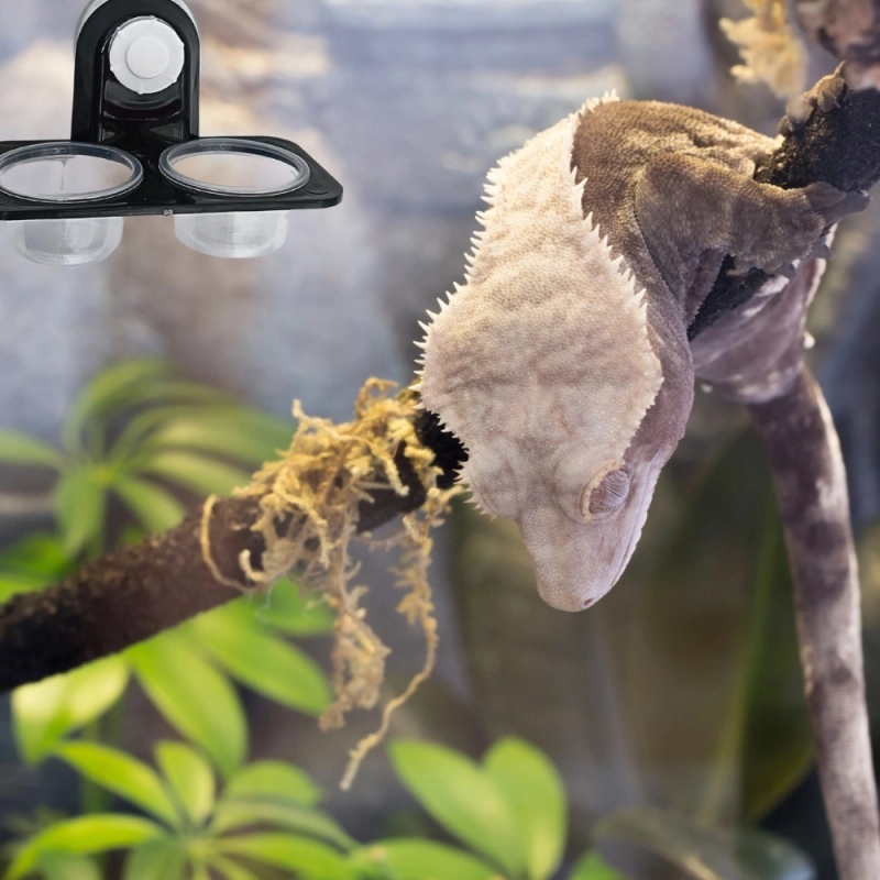montaz-na-szybie-terrarium-biogecko-double