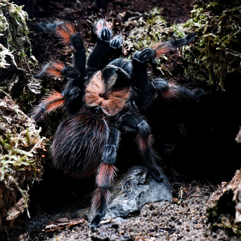 3369eb112ec49a4c6275bef8ecae3035