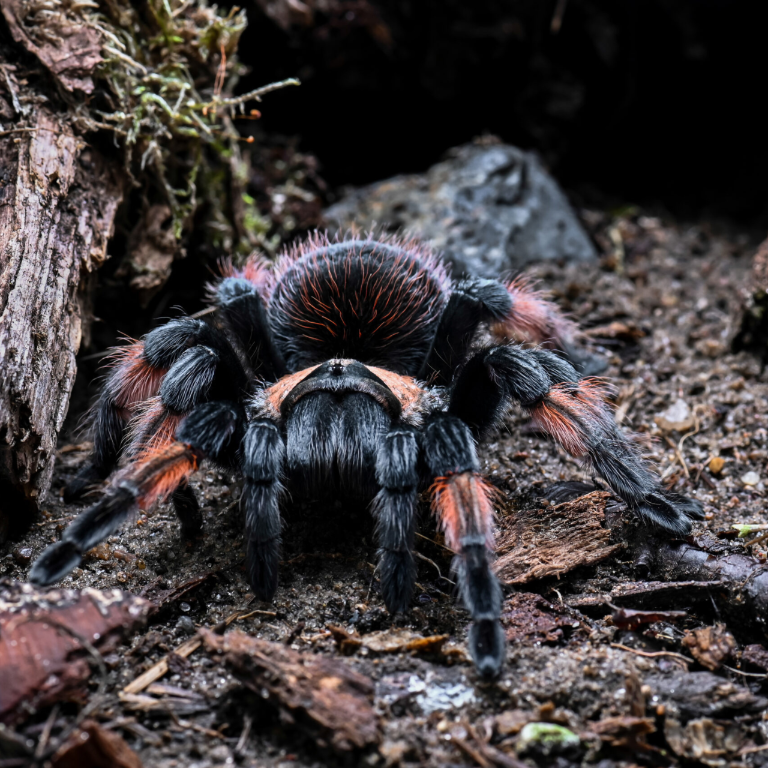 e70c015c7b585ec969208c05dd25b945