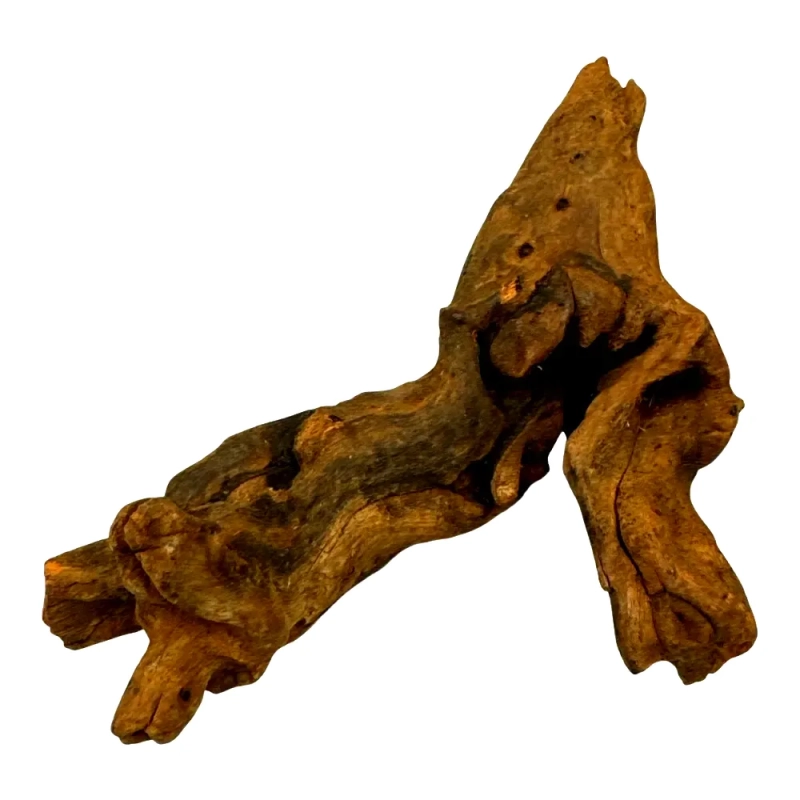 korzen-do-terrarium-akwarium