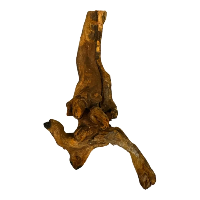 korzenie-do-terrarium-driftwood