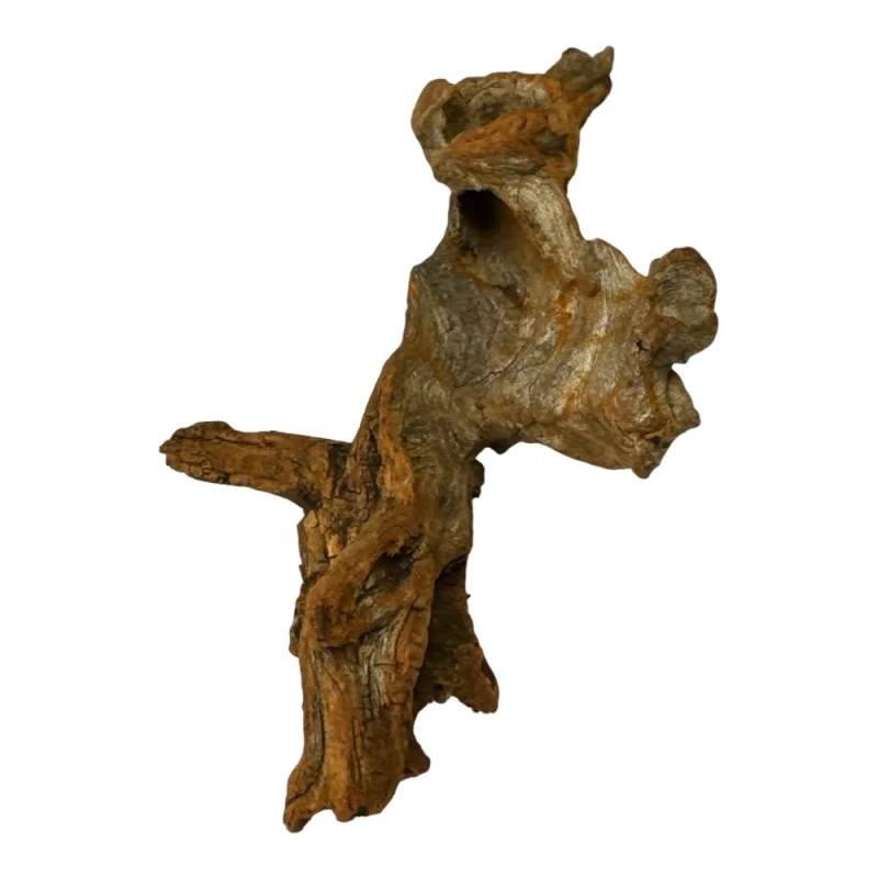 korzen-do-terrarium-i-akwarium