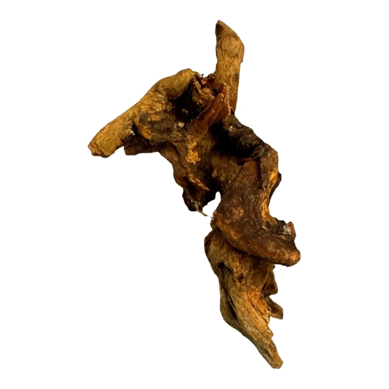 korzenie-tonace-do-akwarium