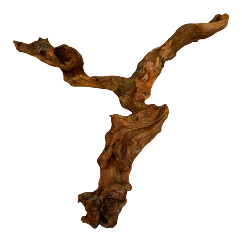 korzenie-tonace-do-akwarium