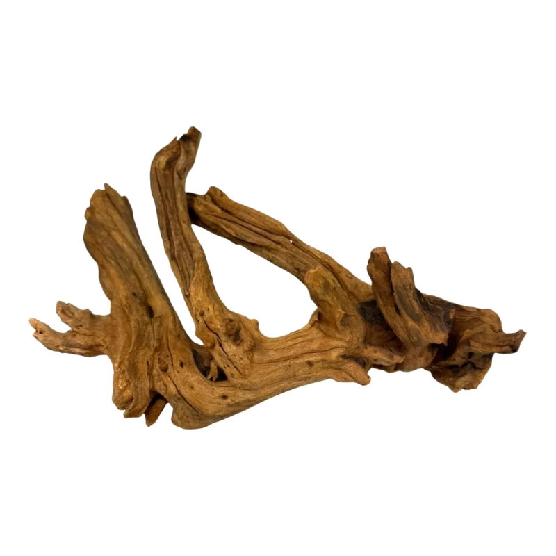 korzenie-do-terrarium-driftwood