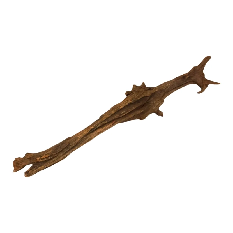 drewno-do-terrarium-tropikalne