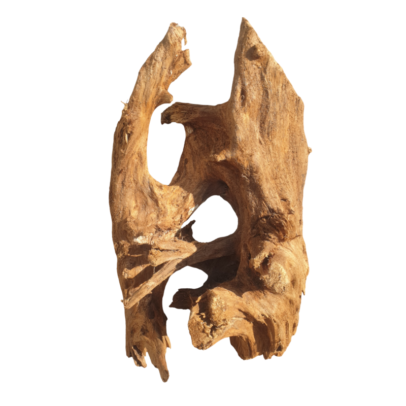 ciezki-korzen-do-akwarium