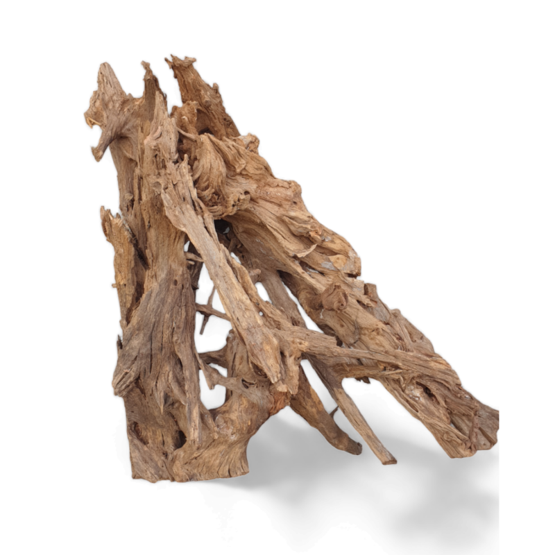 duzy-korzen-mangrowca-do-akwarium