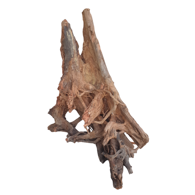 ciezki-korzen-do-akwarium