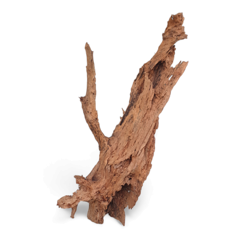 korzen-xl-duzy-ciezki