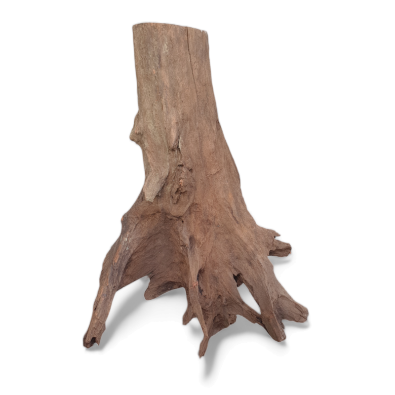 drewno-do-terrarium-akwarium