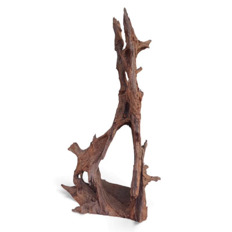 Korzen-do-terrarium-dla-legwana