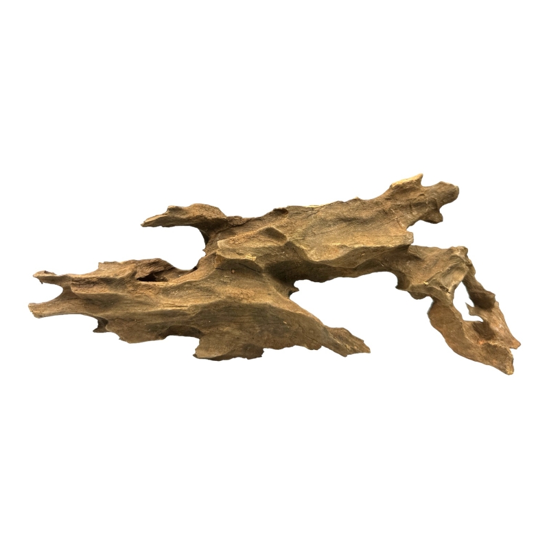 Smoczy-korzen-do-terrarium-i-akwarium