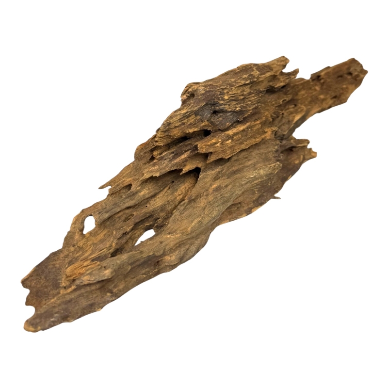 dragon-wood-smoczy-korzen-do-akwarium-i-terrarium