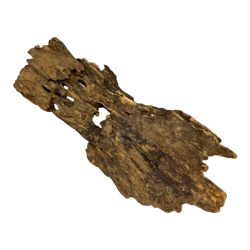 dragon-wood-smoczy-korzen-pod-mchy-i-porosty