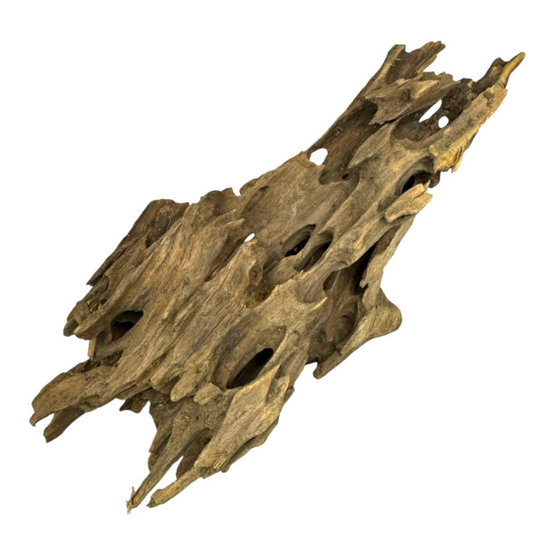 korzen-dragon-wood-bio-root-dekoracja-do-terrarium