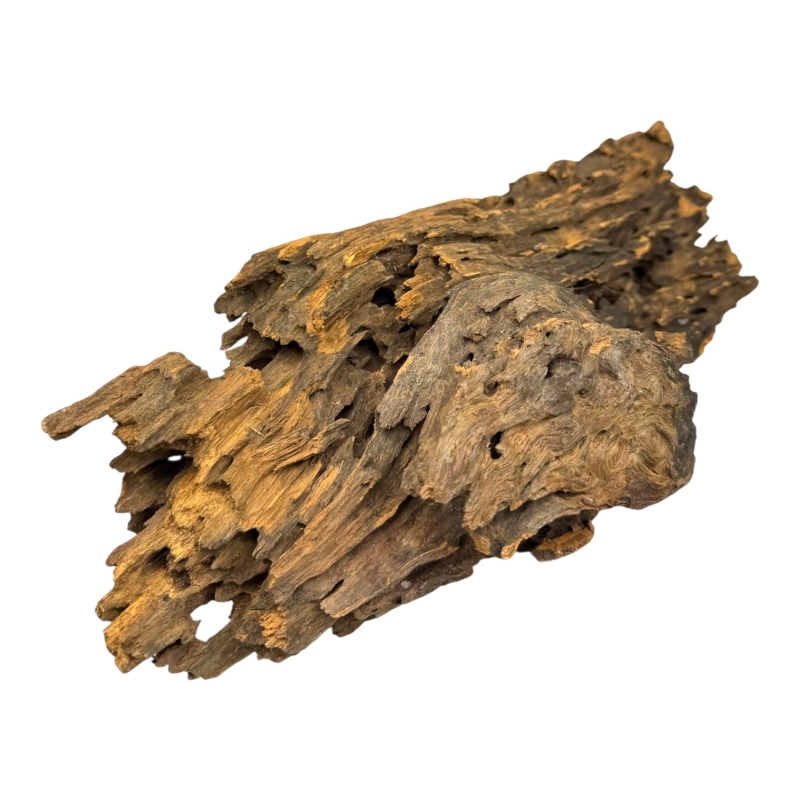 korzen-dragon-wood-z-tajlandii-do-aranzacji-akwarium