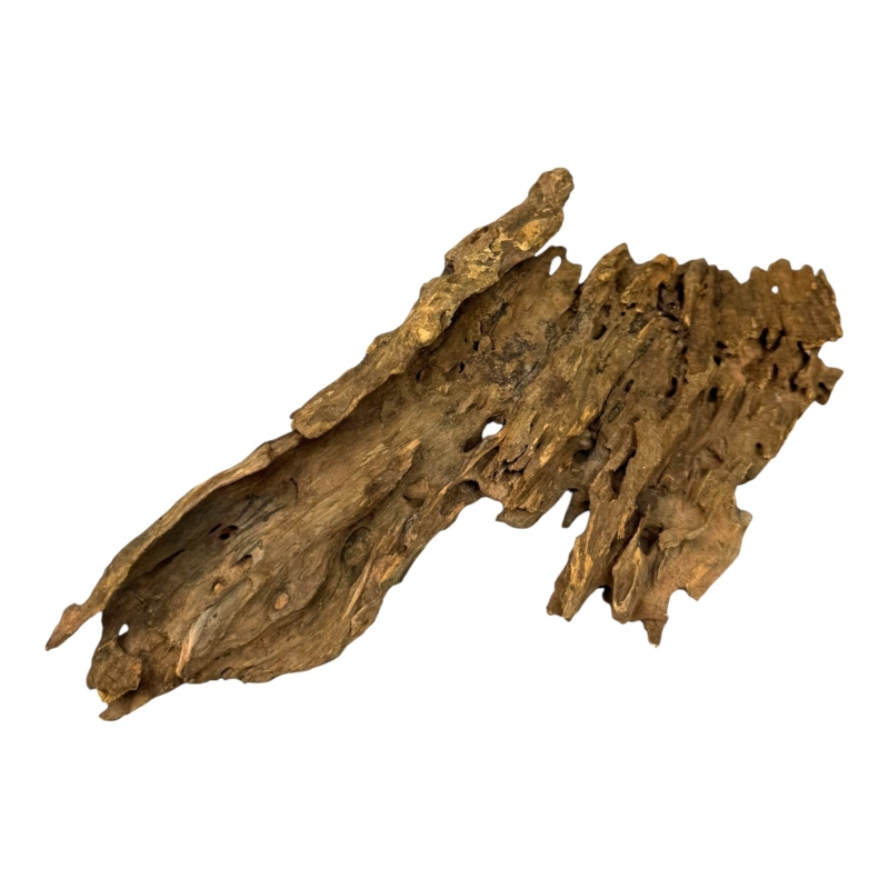 naturalny-korzen-dragon-wood-do-akwarium-roslinnego