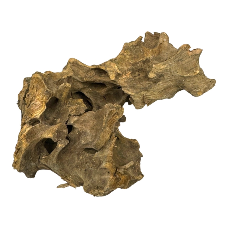 dragon-wood-smoczy-korzen-unikalny-ksztalt-drewna