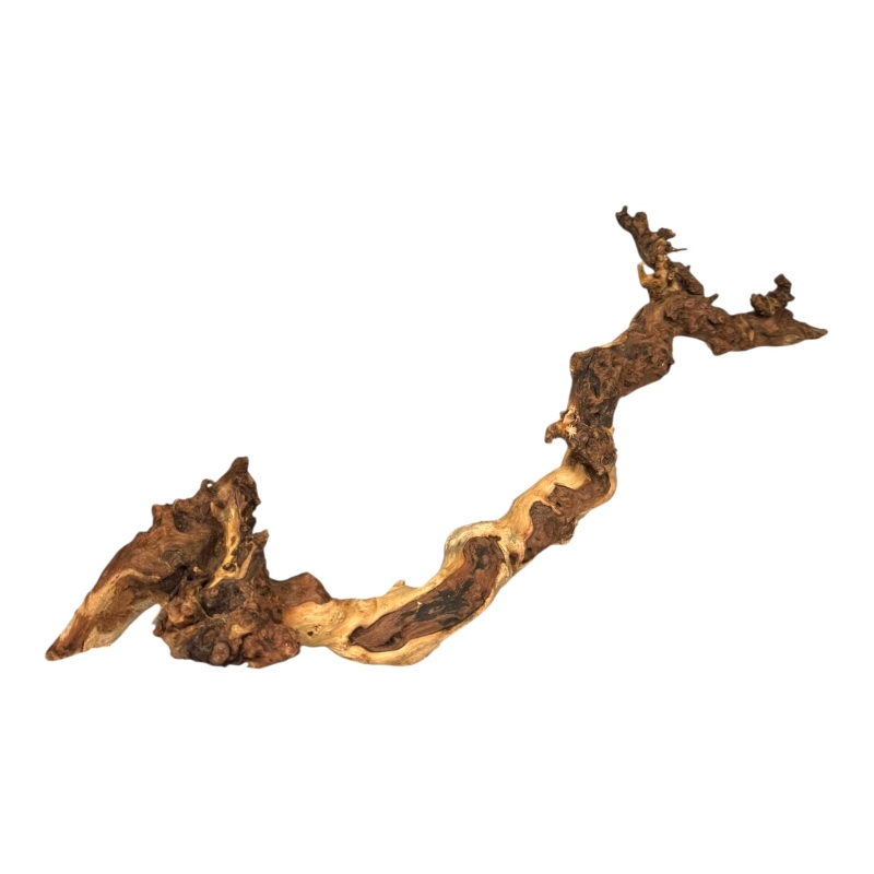 naturalny-korzen-coral-wood-do-dekoracji-zbiornika