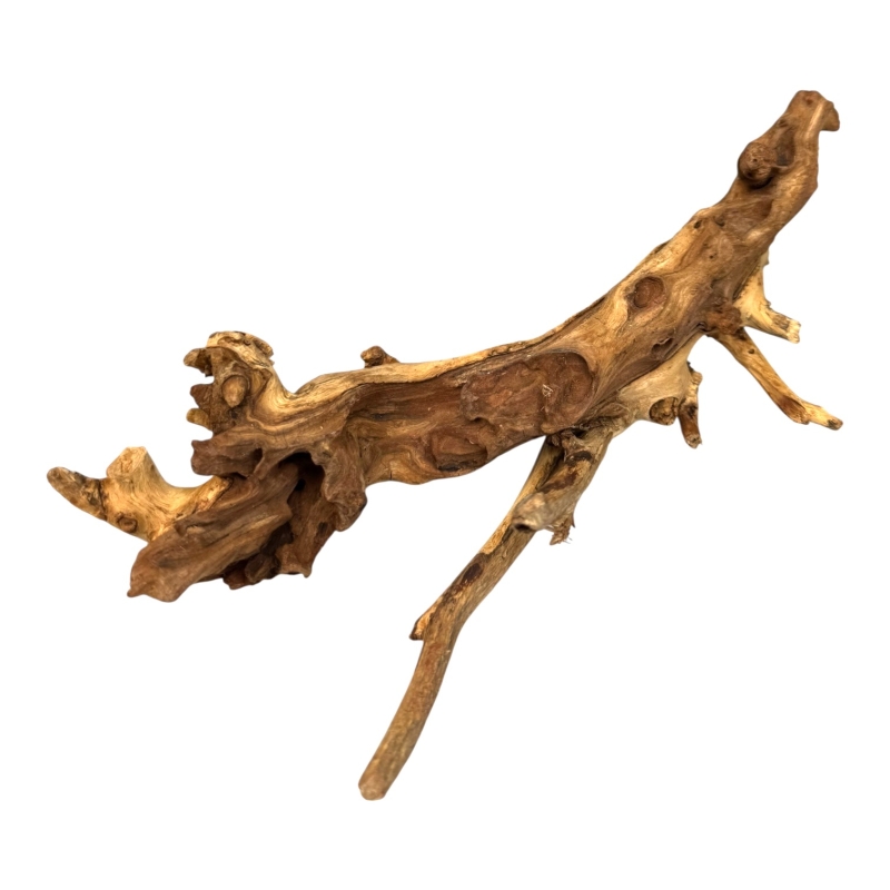 coral-wood-korzen-bio-root-do-aranzacji-terrarium