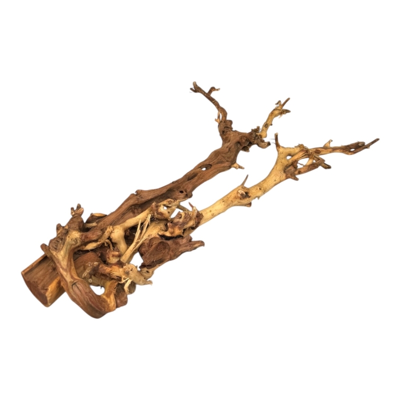 coral-wood-koralowy-korzen-do-akwarium-i-terrarium