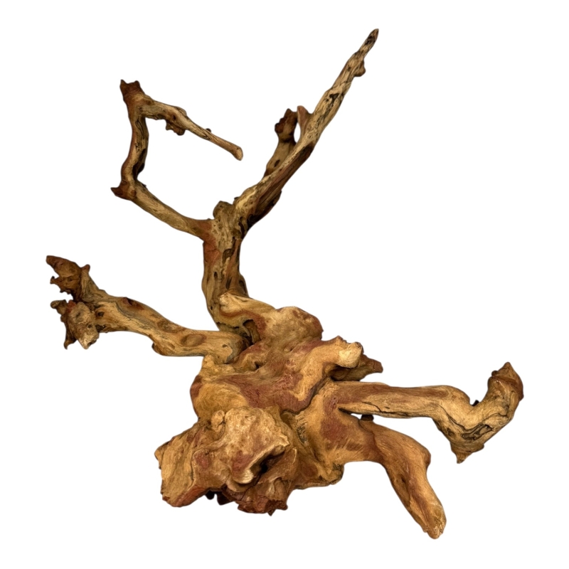 coral-wood-korzen-rozgaleziony-do-aranzacji-akwarium